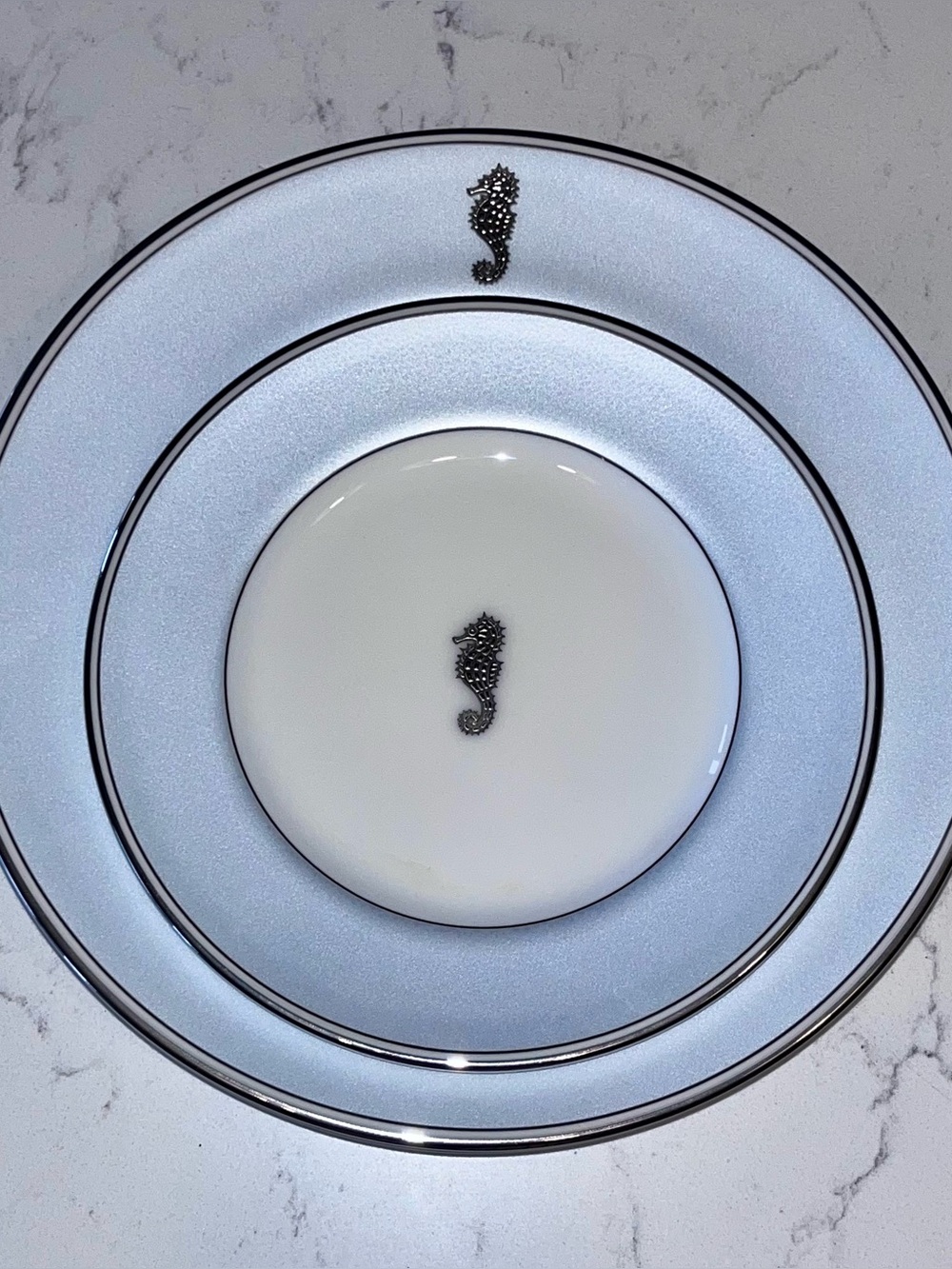 Waterford “Seahorse Ocean” 2- piece salad and bread plate set. 6” & 8” platinum